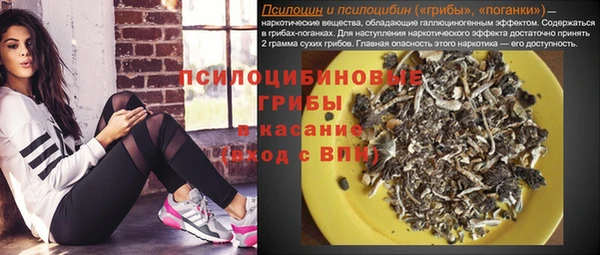 a pvp Киренск