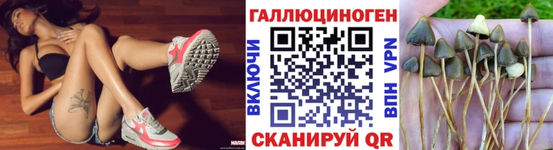 Галлюциногенные грибы MAGIC MUSHROOMS  Купить где  Кондопога 